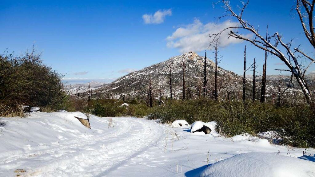 View of Stonewall Peak from Cuyamaca Peak Trail