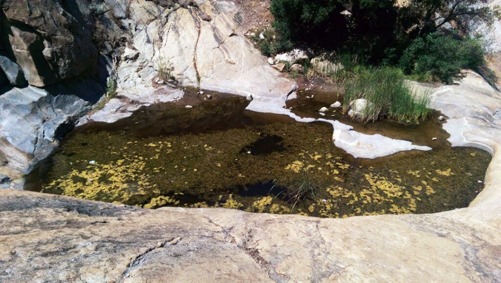 Stagnant mucky water pools below the falls.