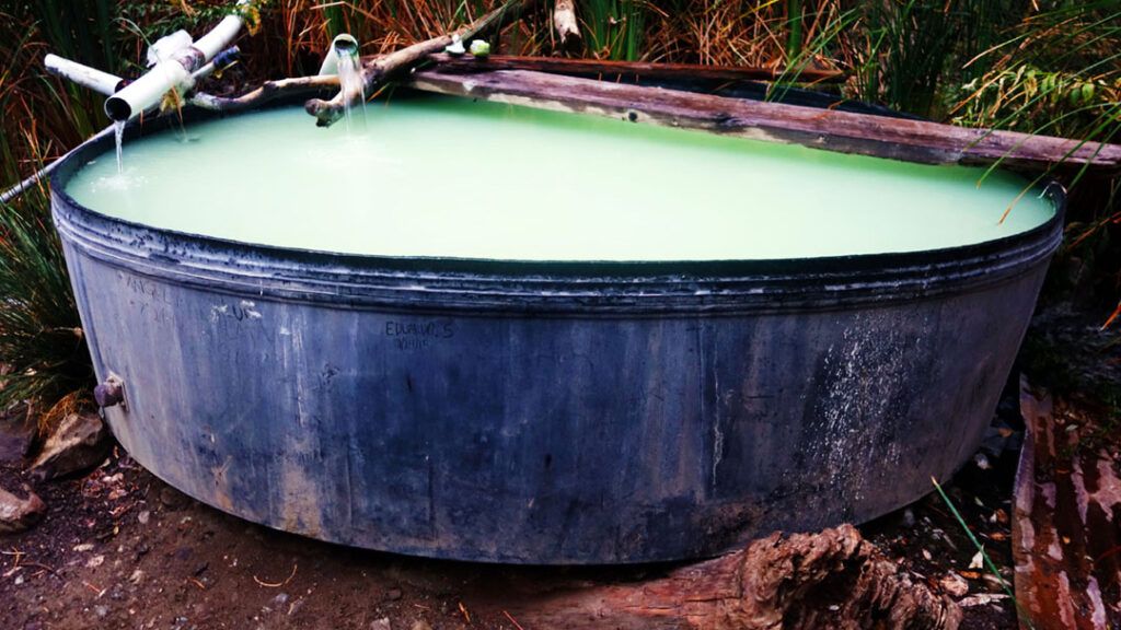 The Willet Hot Springs hot tub is filled with mineral rich green water in Los Padres National Forest.
