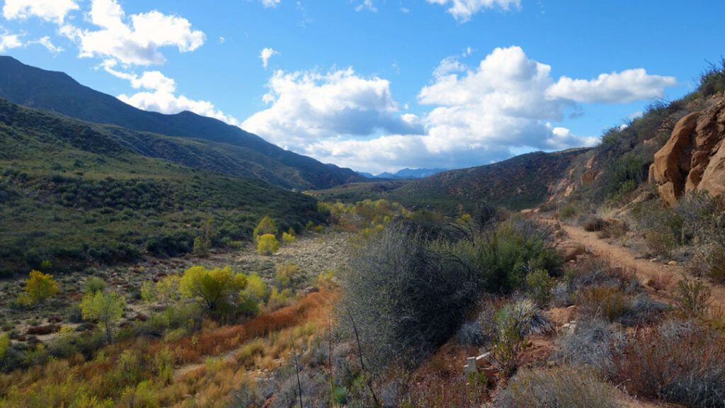 Autumn colors and fall foliage fill the dry Sespe Creek in Los Padres National Forest.