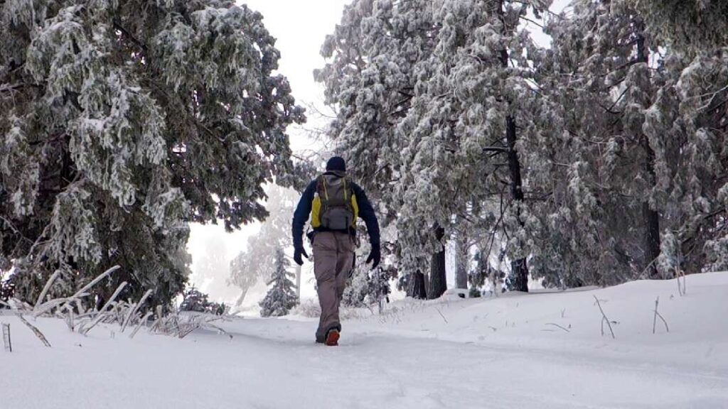 A hiker moving uphill in the snow on Cuyamaca Peak trail