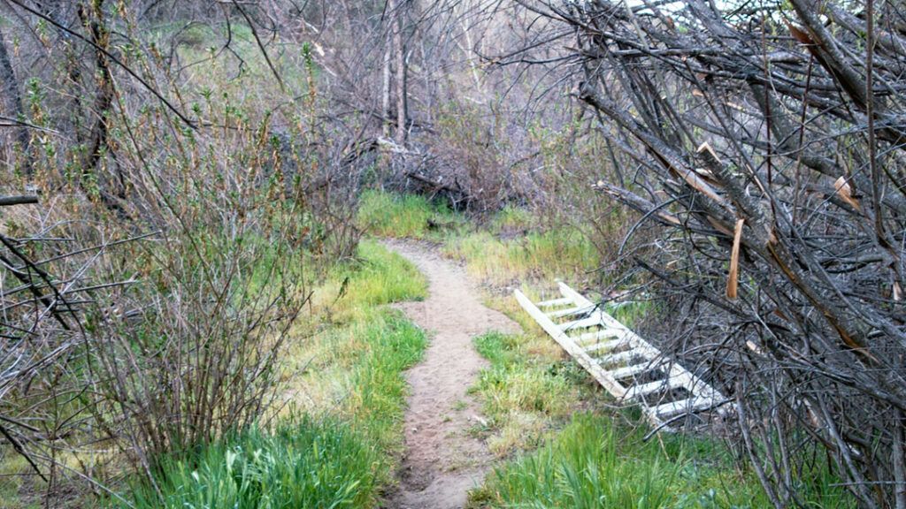 The Sweetwater River crossing on the Bell Bluff hiking trail.