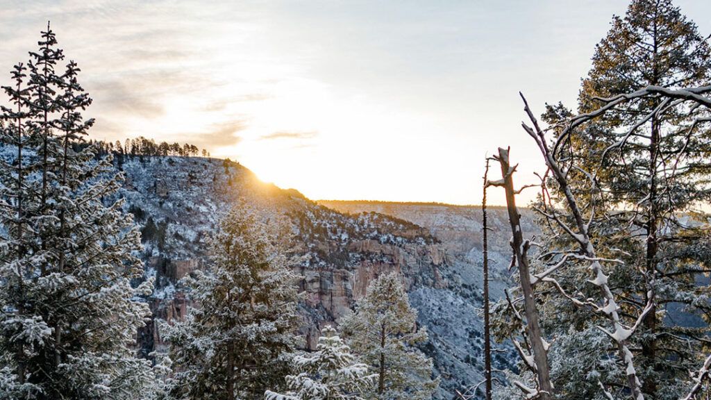Sunrise tops the edge of the canyon on North Kaibab Trail.