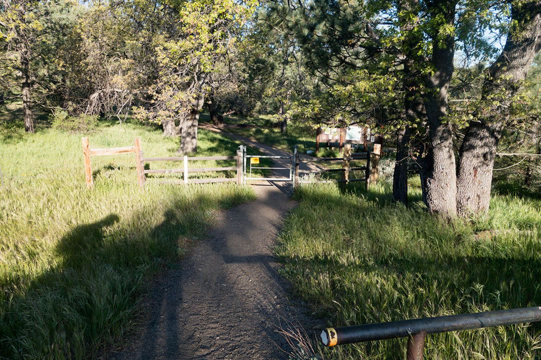A gated trail leading into the forest