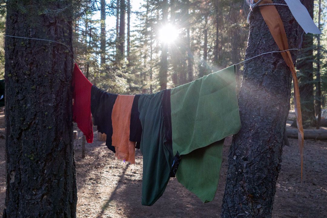 Laundry hanging on a wire between trees.