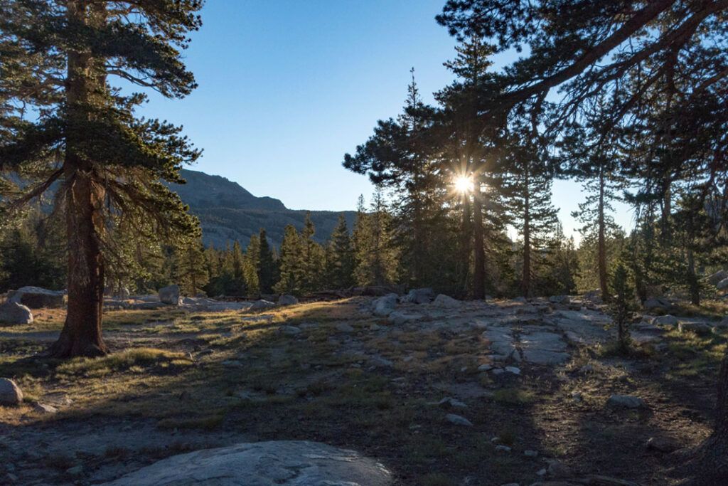 Sunrise at camp southeast of Donahue Pass.
