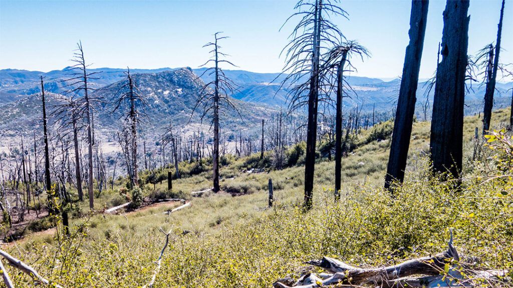 View of Stonewall Peak from Middle Peak Loop Trail